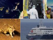 L’Institut Coordenades demana una resposta estratègica davant la crisi del MV Hondius