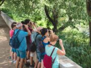 Activitats destacades per al cap de setmana a Manlleu