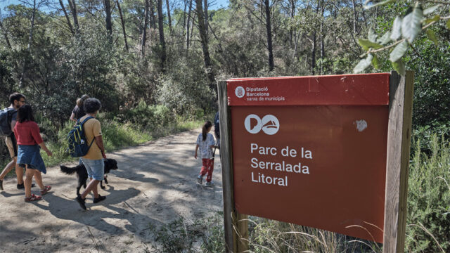 noticia_1782220695.jpg