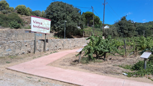 noticia_1789565352.jpg